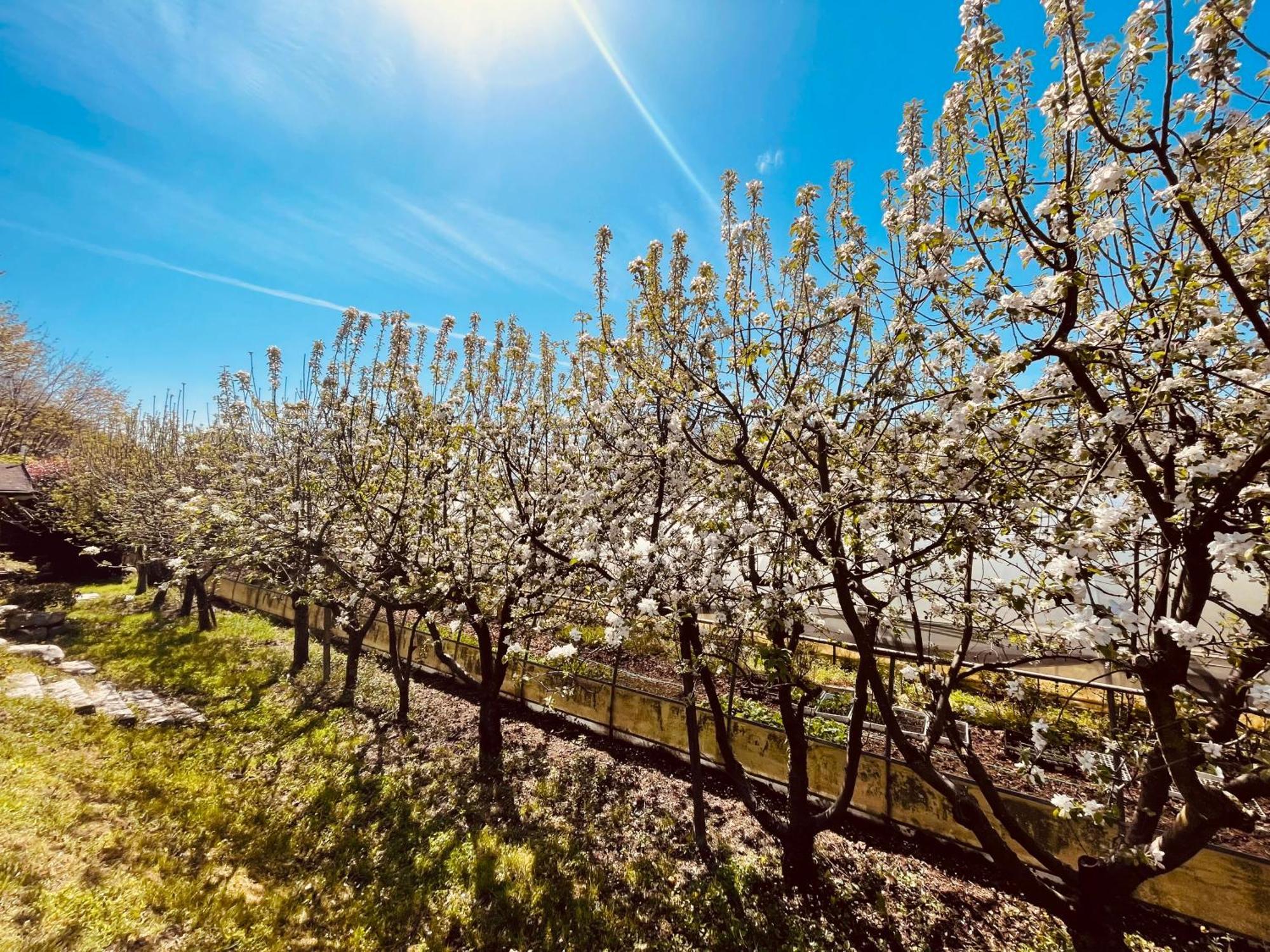 Agriturismo Il Cucchiaio Di Legno 오르타산줄리오 외부 사진